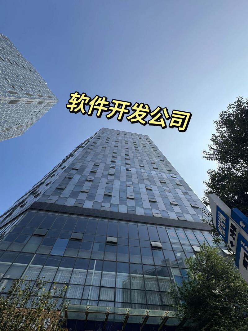 APP开发：构建移动互联时代的桥梁